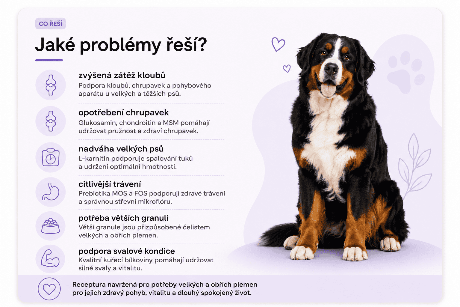 Arden Grange Large Breed jaké problémy řeší (1)